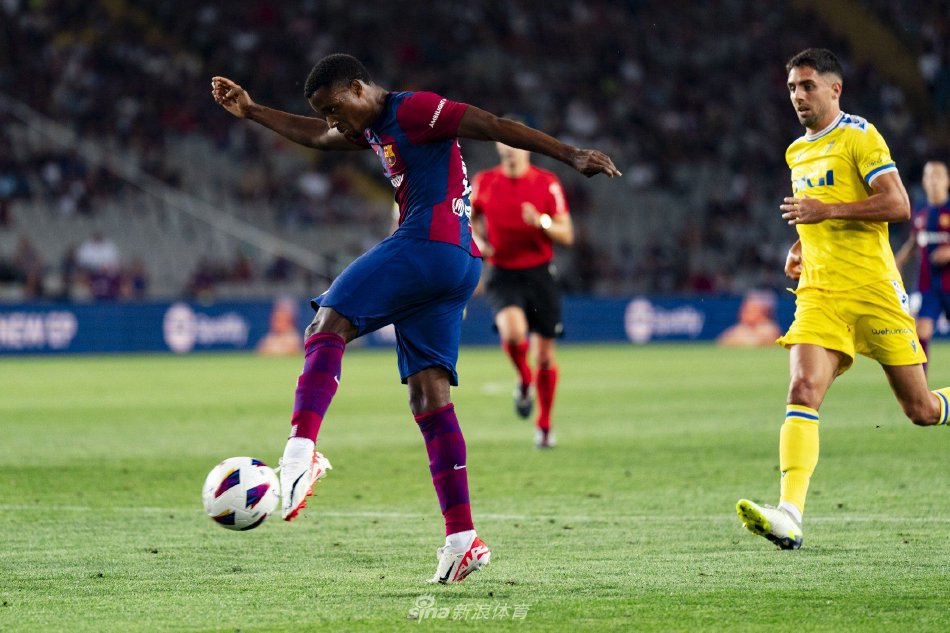 这项全新的 这项全新的